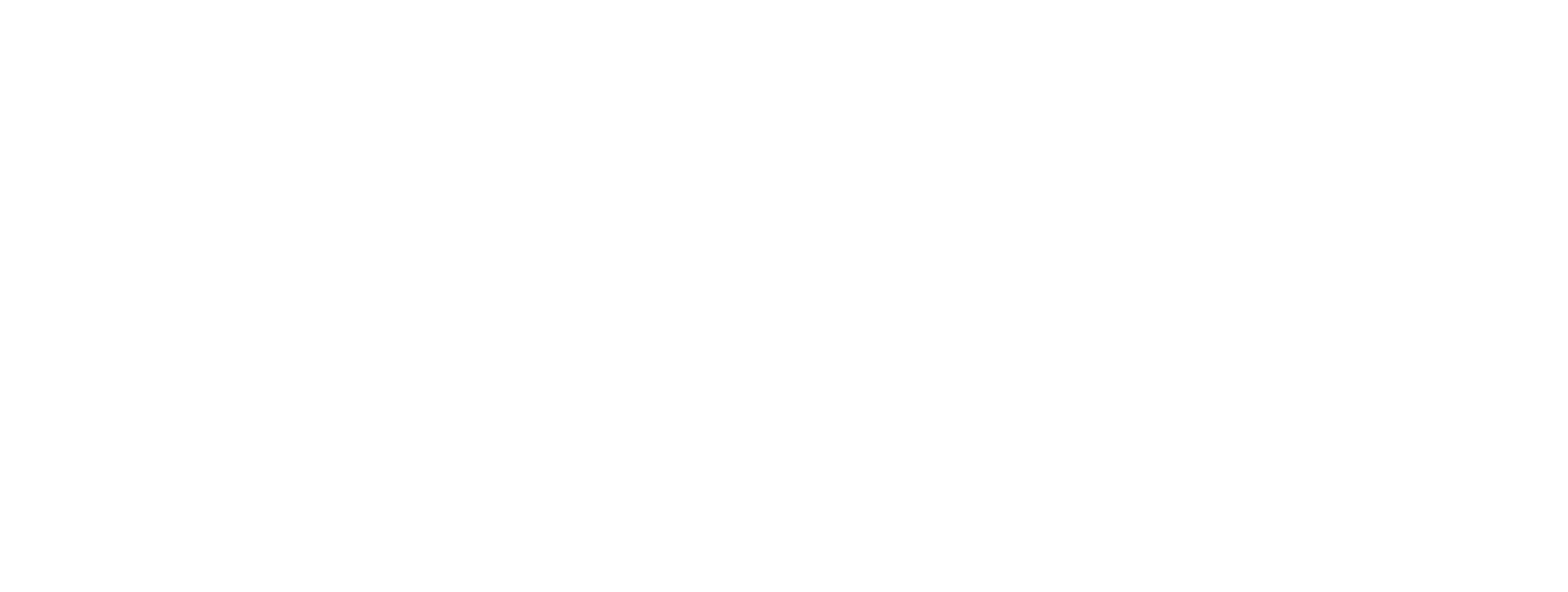 DCS-Logo-White